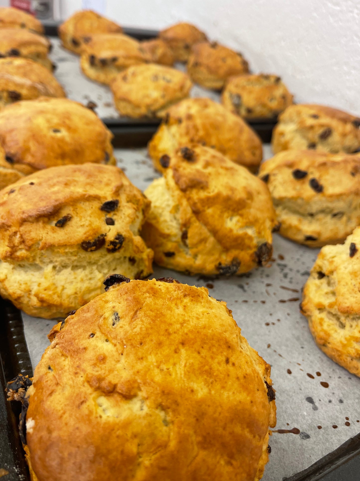 Box of Scones