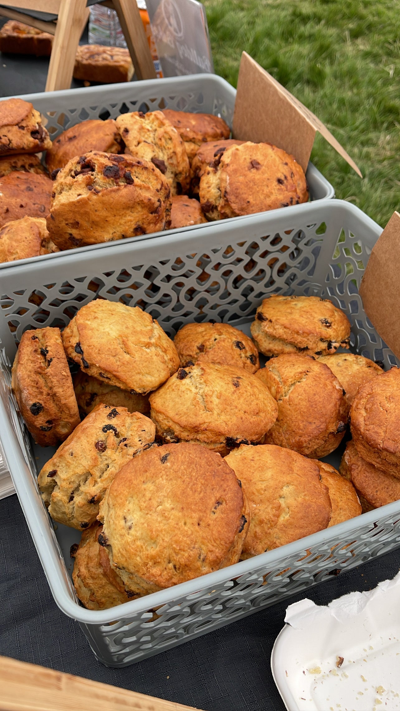 Box of Scones