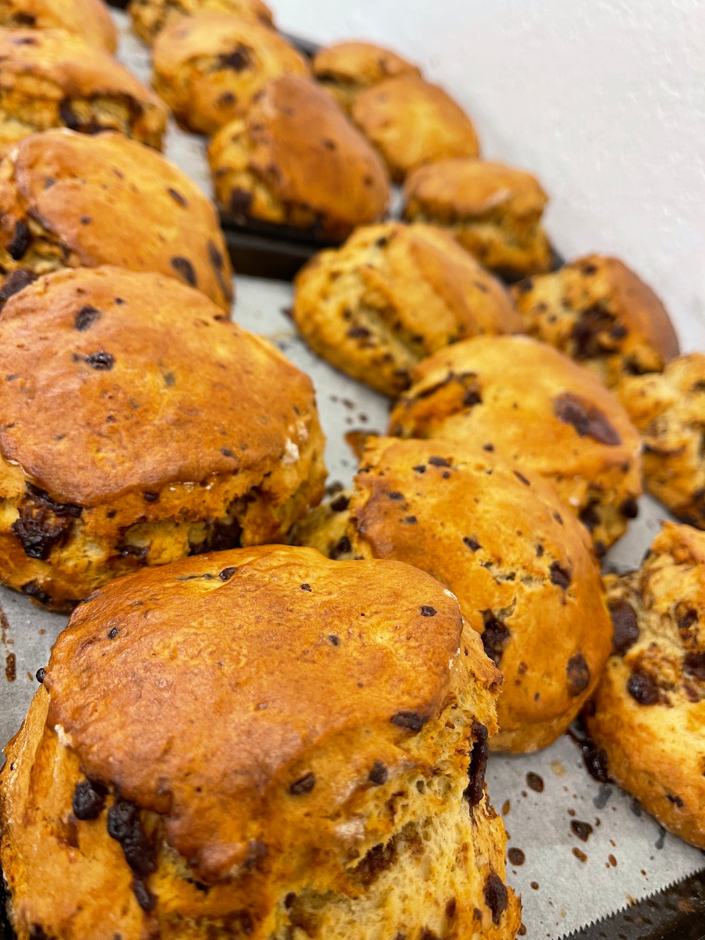 Box of Scones
