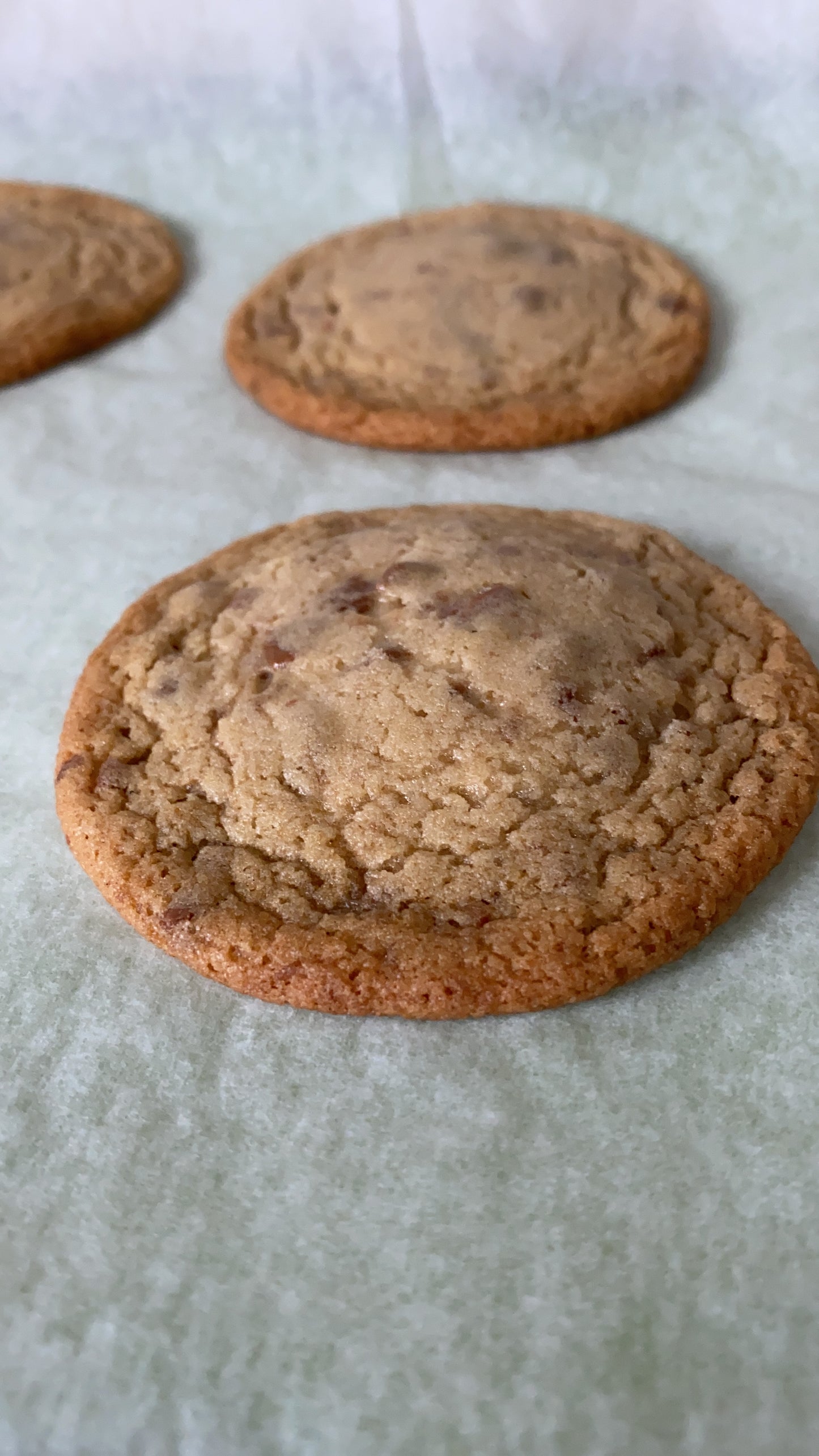 Box of Cookies - Bulldog Bakes